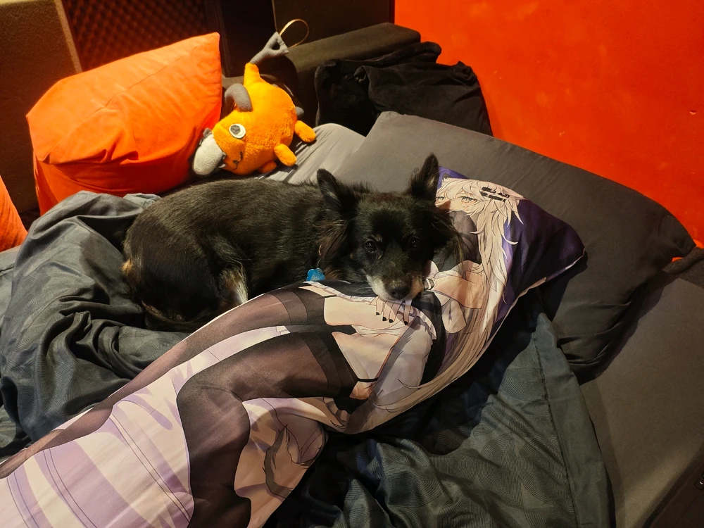 GIF dodany przez Grzesiek