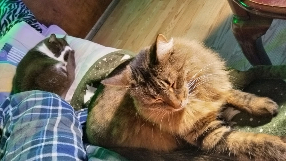 Image uploaded by Jen