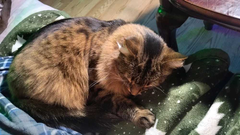 Image uploaded by Jen