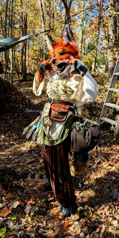 Image uploaded by Shado wolf