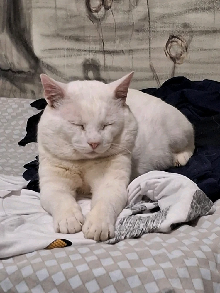 GIF enviado por Vander