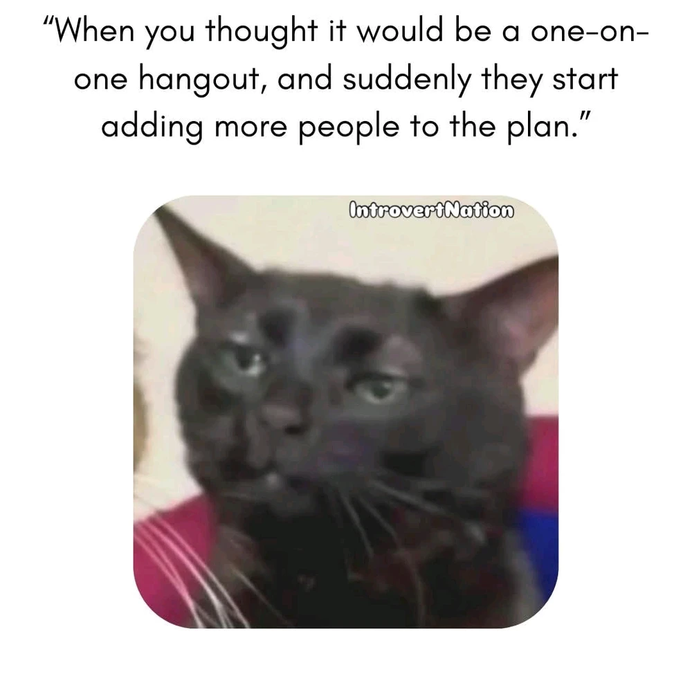 GIF uploaded by Chrif