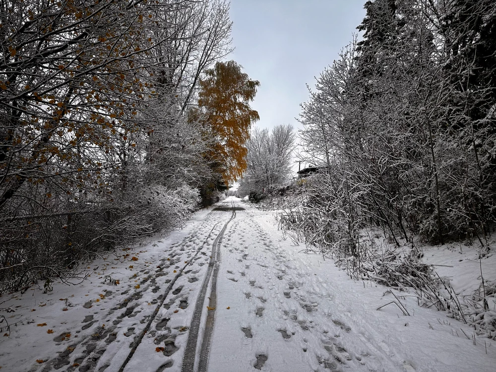 Image ajoutée par Damien