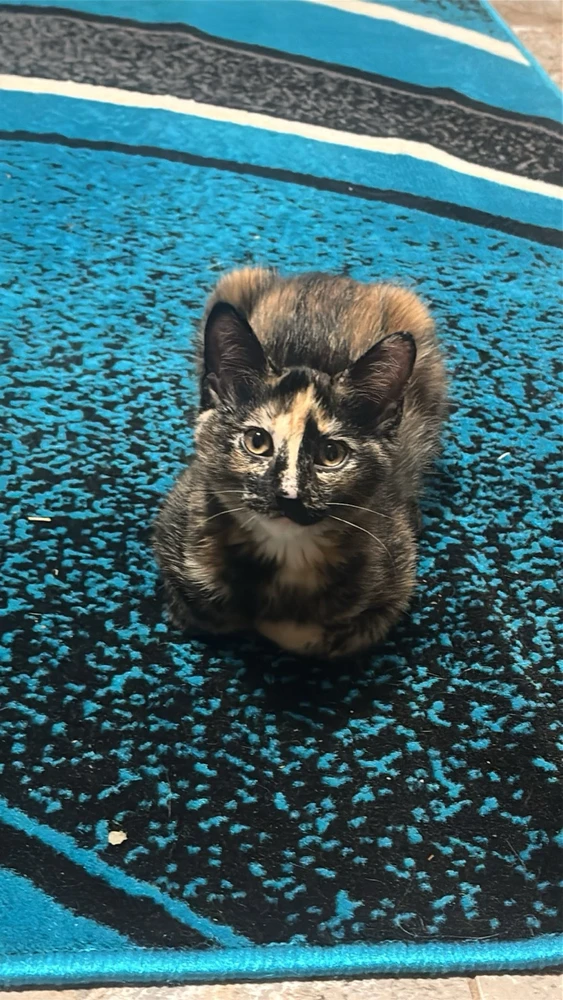 Image uploaded by addy