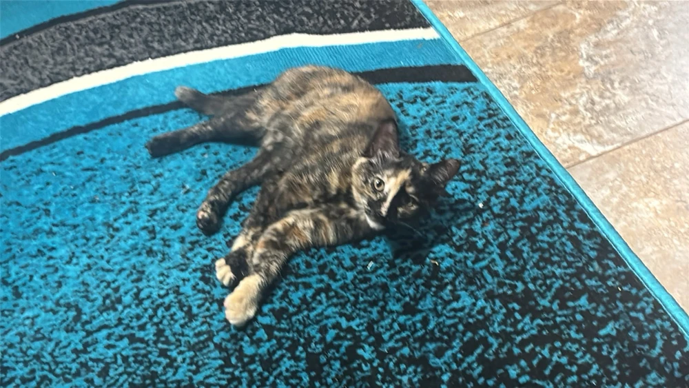 Image uploaded by addy