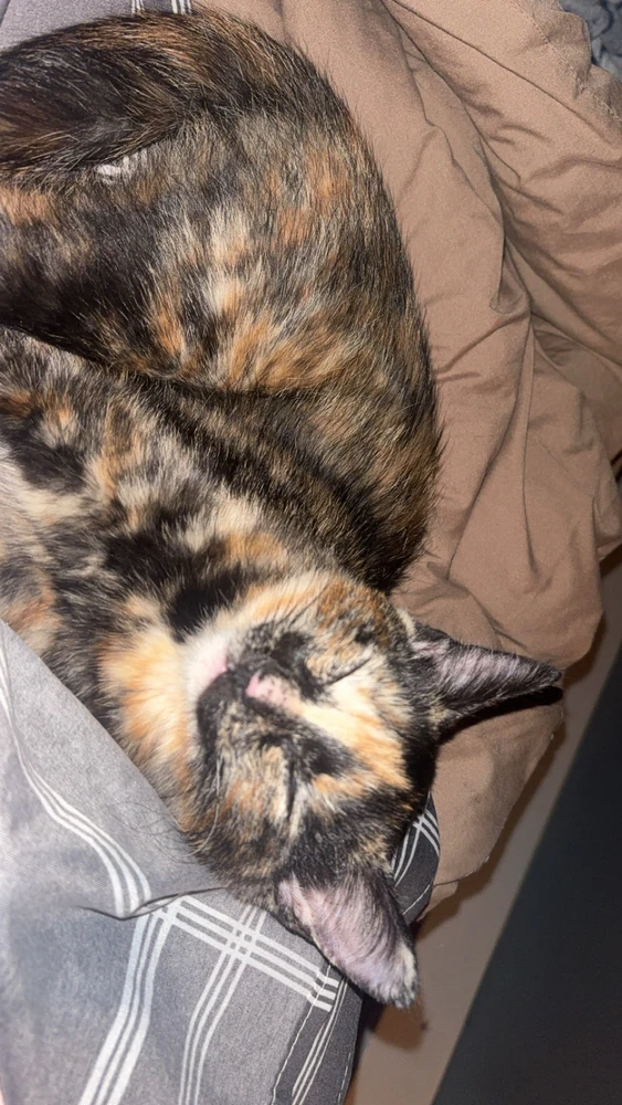 Image uploaded by addy