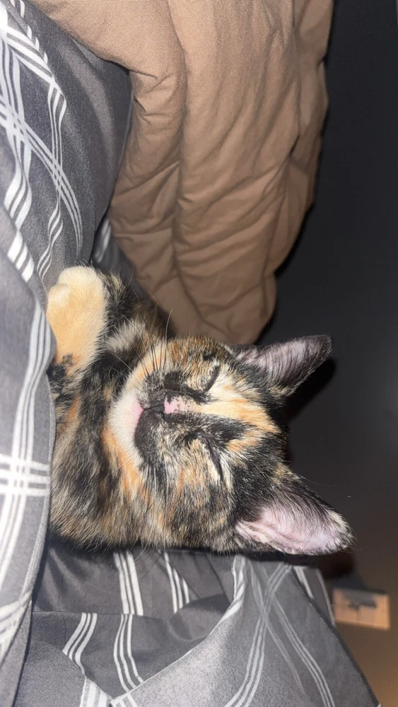 Image uploaded by addy