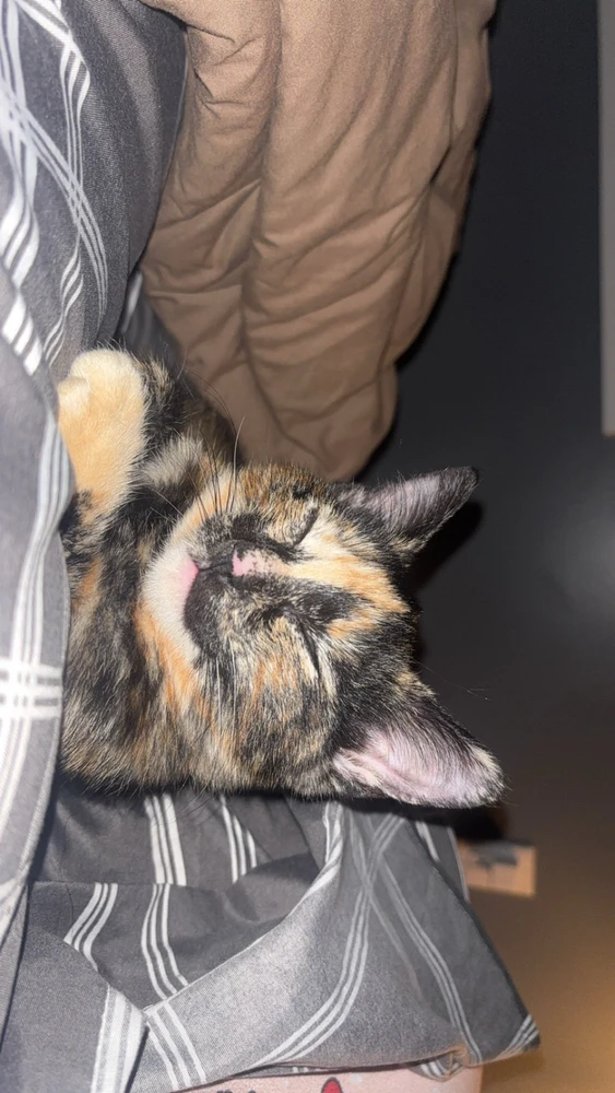 Image uploaded by addy