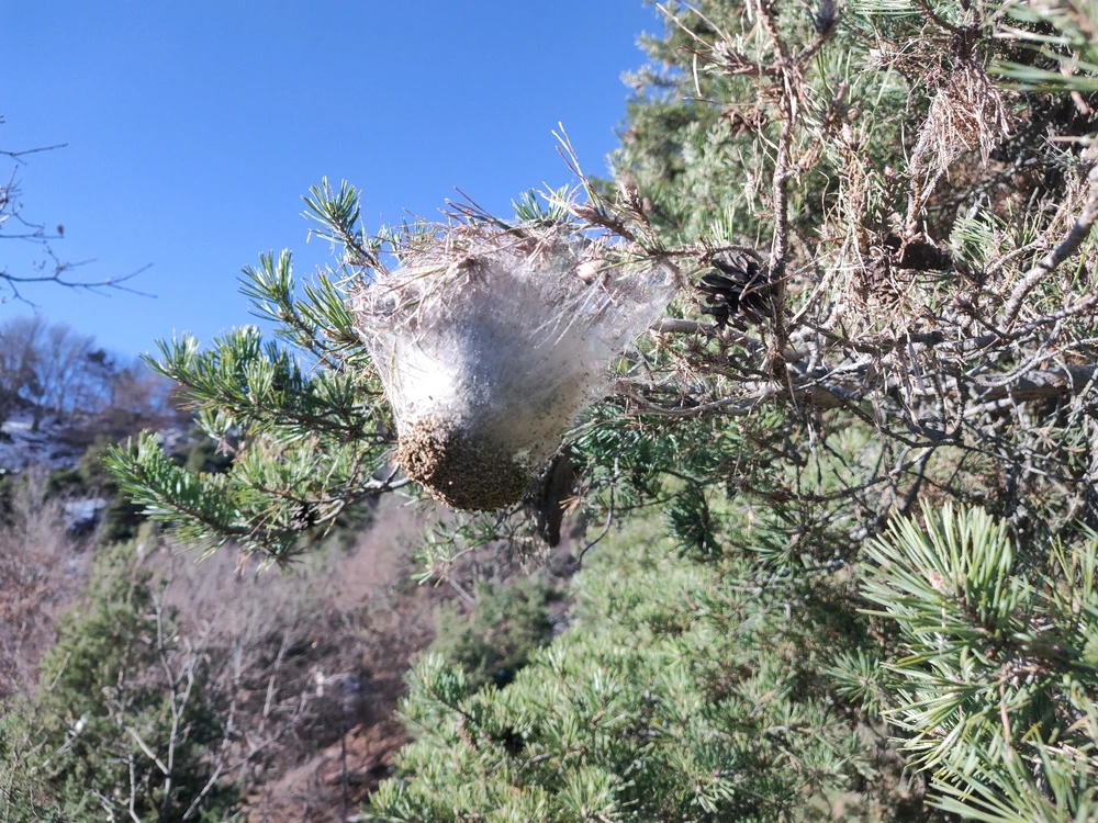 Immagine caricata da Rudy