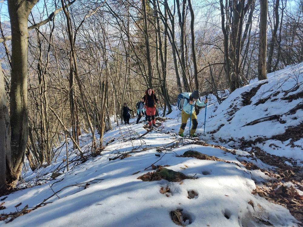 Immagine caricata da Rudy