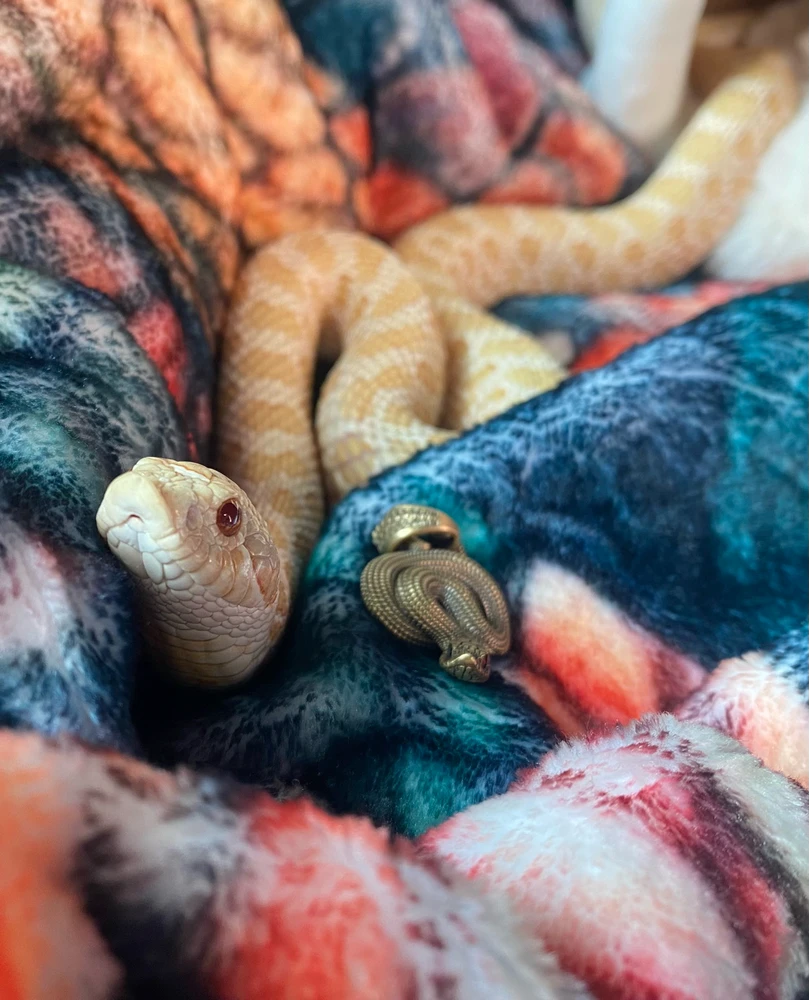 Image uploaded by Vel