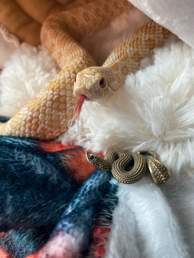 Image uploaded by Vel