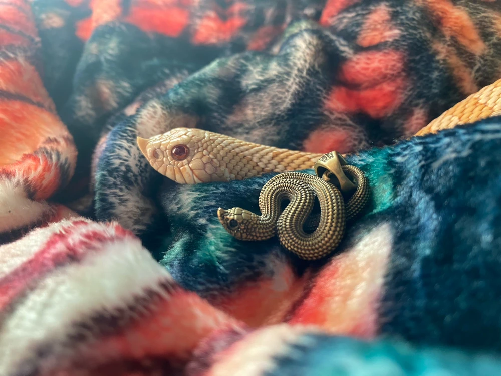 Image uploaded by Vel