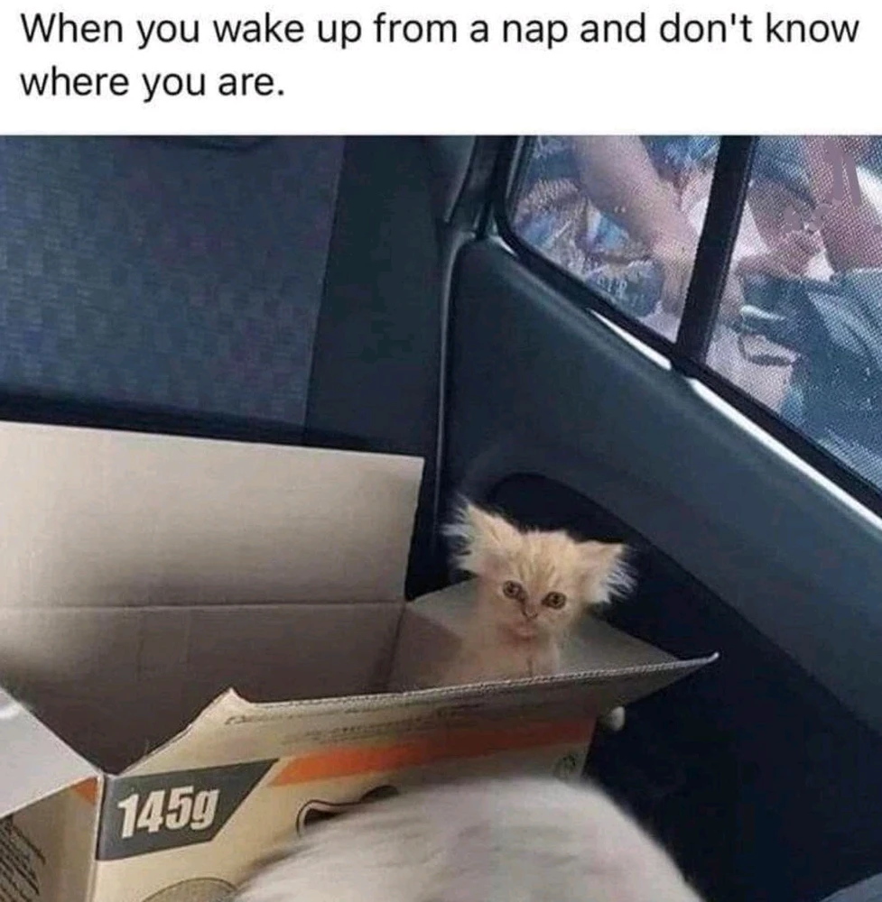 GIF uploaded by 匚ㄖ尺乇ㄚ