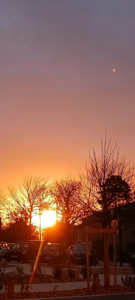 Image ajoutée par Saffiya