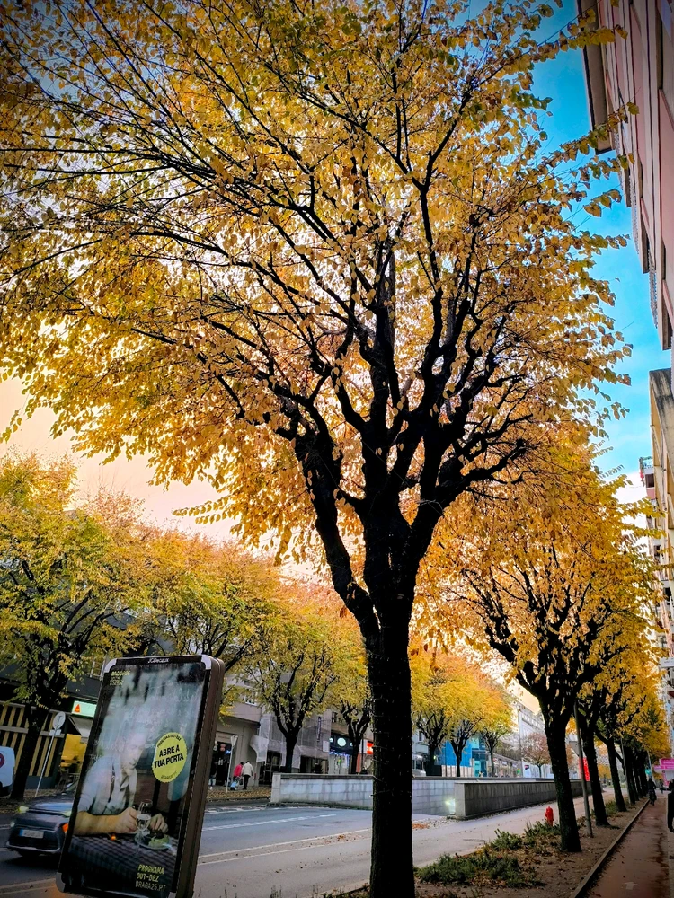 GIF uploaded by Suzana