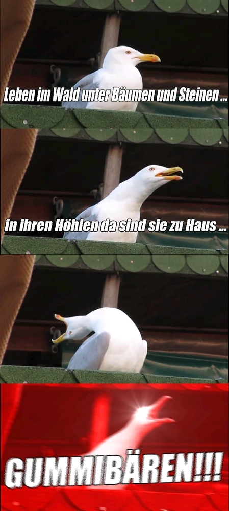 GIF hochgeladen von Vik