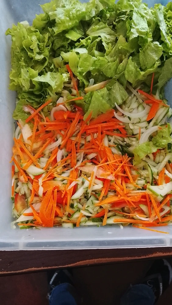 Veggie Salad 