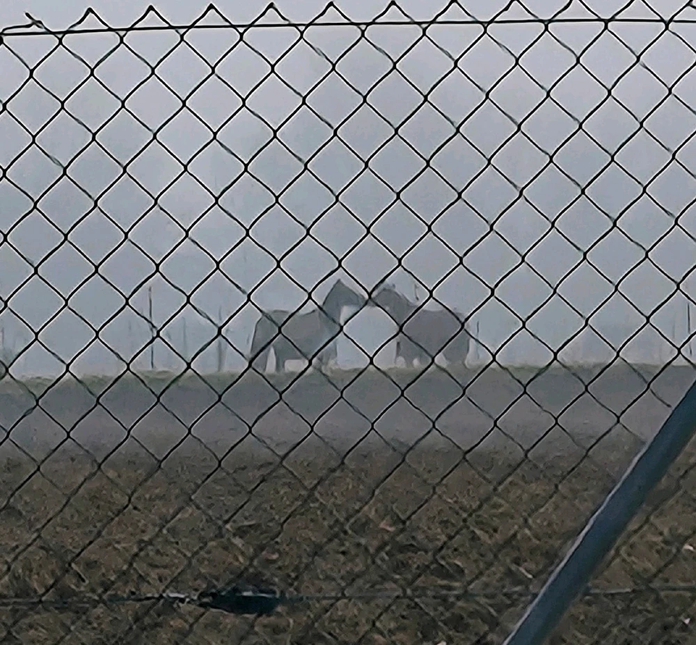 GIF hochgeladen von Thomas