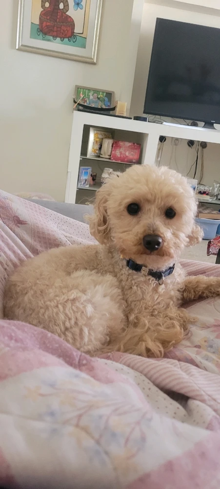 GIF uploaded by 🦋🩷𝓱𝓲𝓵𝓪🩷🦋