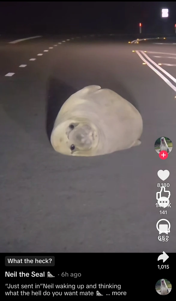 GIF uploaded by Kluay