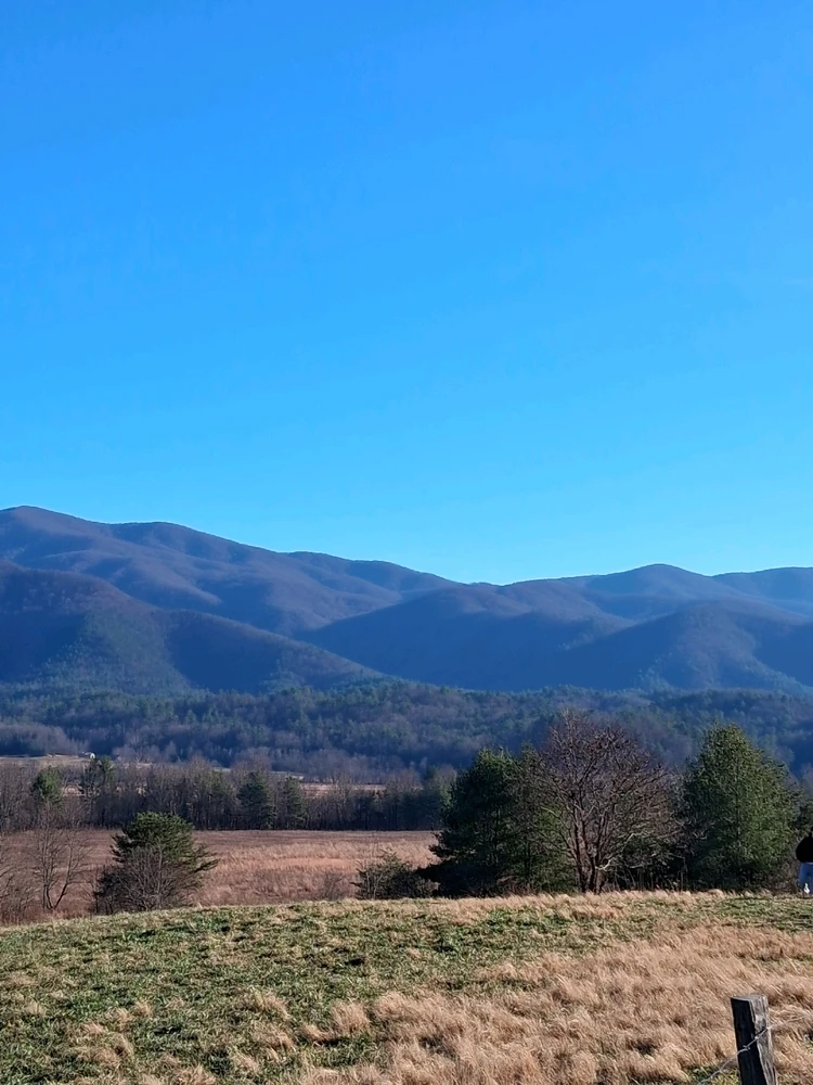 Image uploaded by Nicholas I Raymo