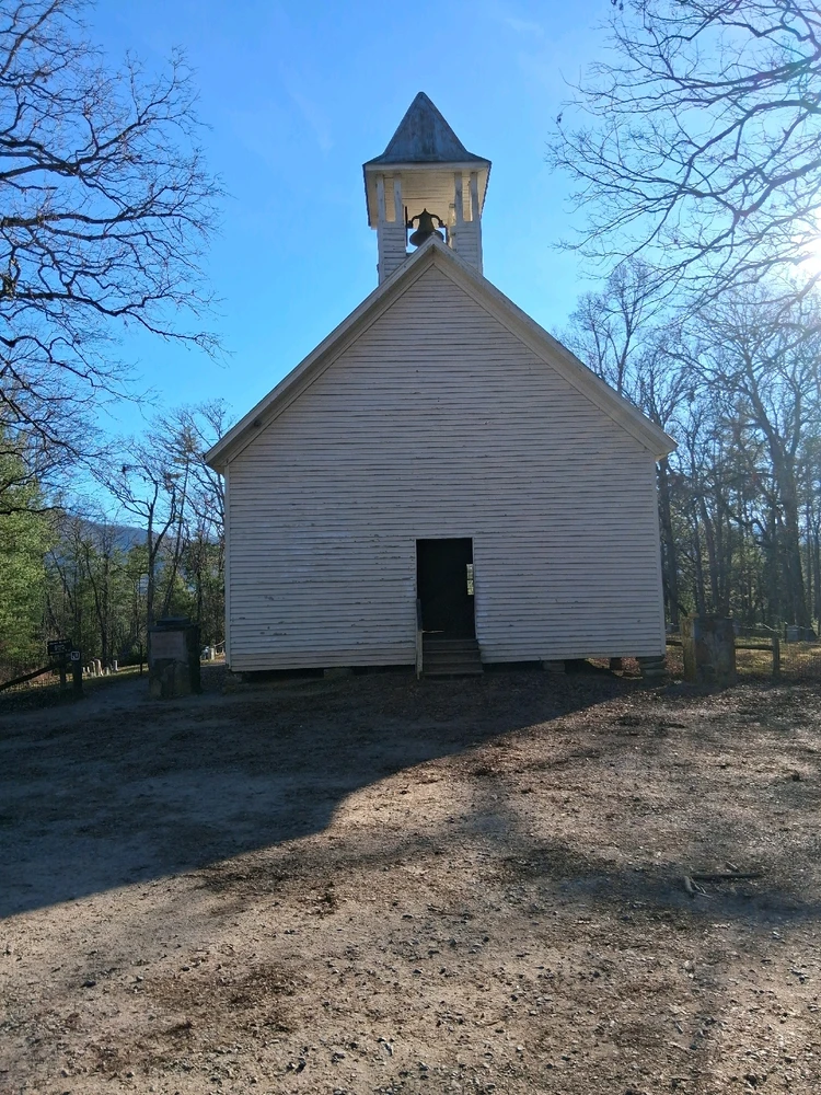 Image uploaded by Nicholas I Raymo