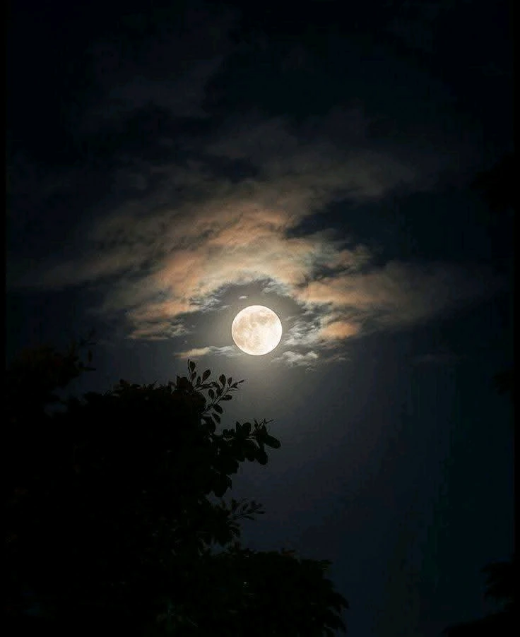 Image uploaded by 💜J💜o💜e💜y💜