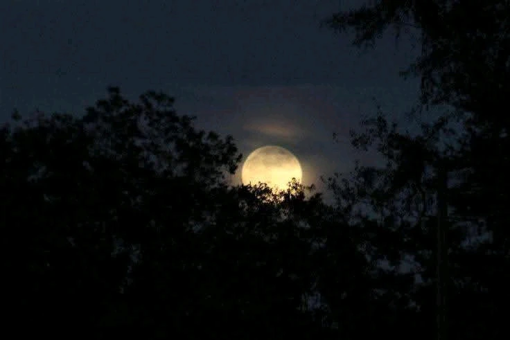 Image uploaded by 💜J💜o💜e💜y💜