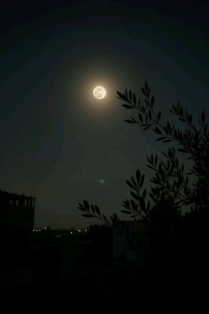 Image uploaded by 💜J💜o💜e💜y💜