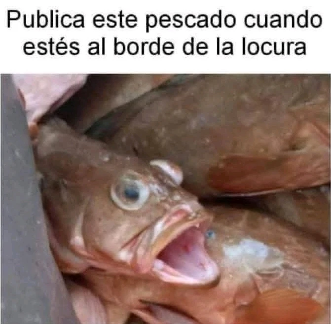 GIF subido por David