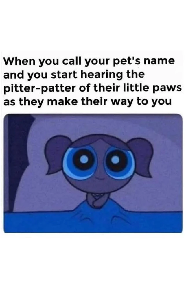 GIF uploaded by Allison