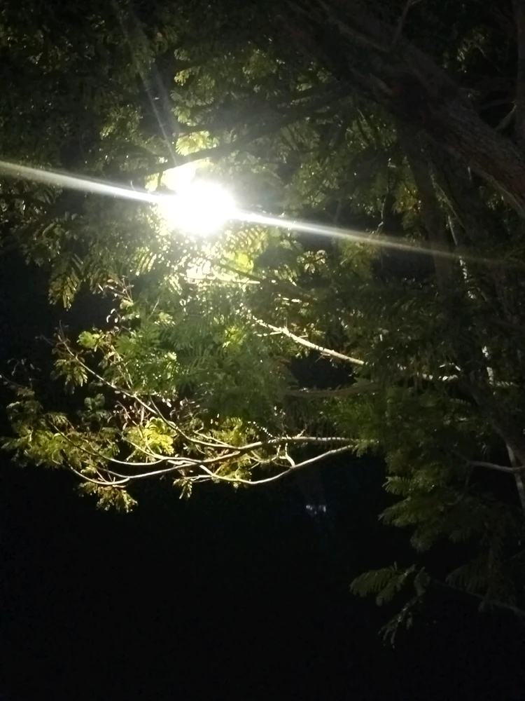 GIF uploaded by Cheryl