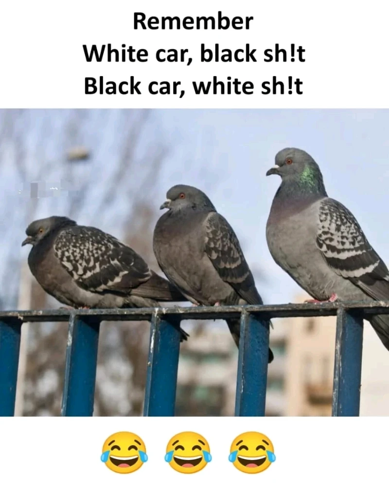 GIF uploaded by Andy