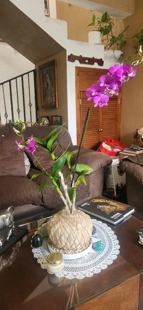 GIF uploaded by ᘻᗩᖇᑢᘿᒪᗩ