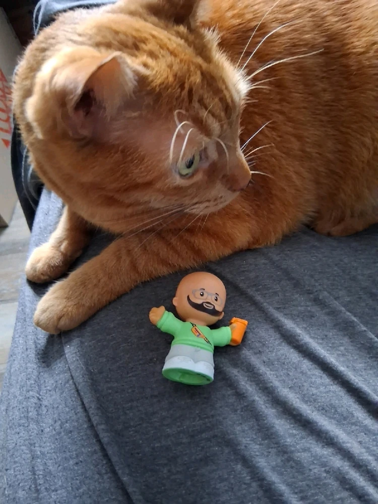 GIF uploaded by Nikki M