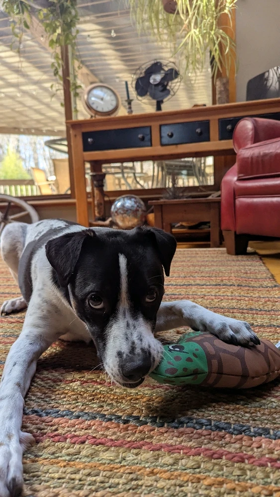 GIF uploaded by Mark