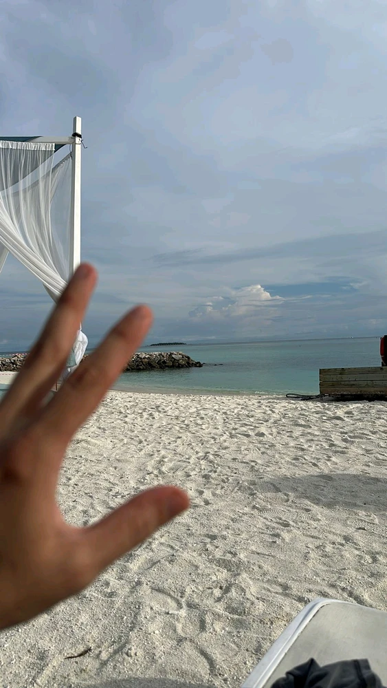 Image uploaded by Mox