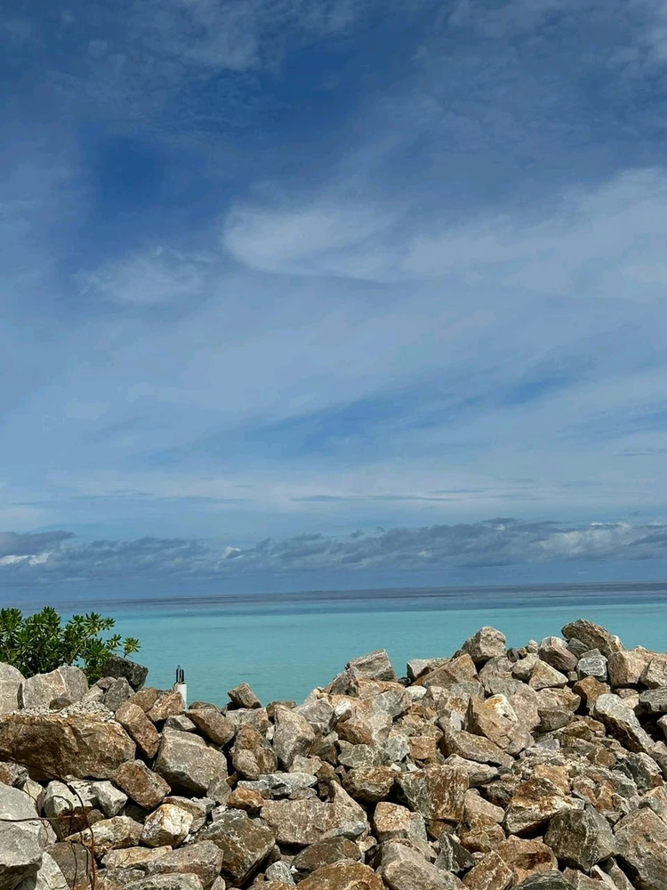 Image uploaded by Mox