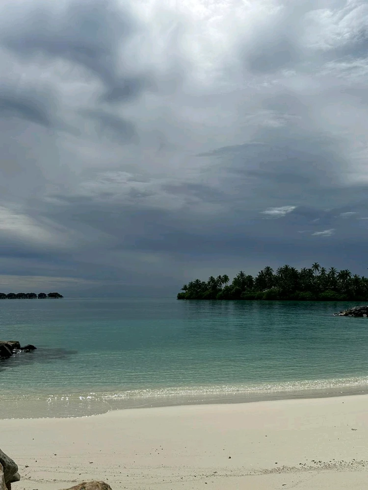 Image uploaded by Mox