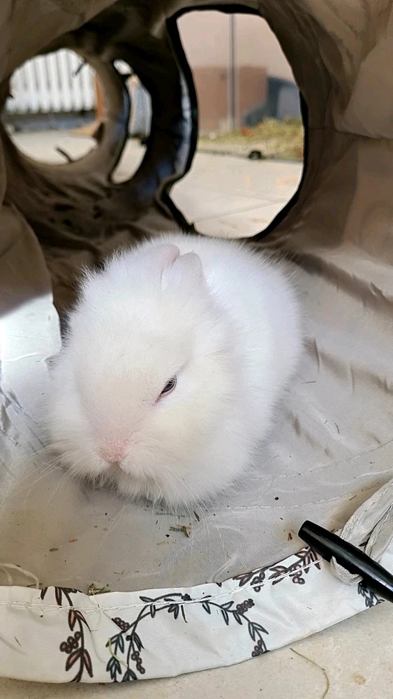 GIF uploaded by Igor