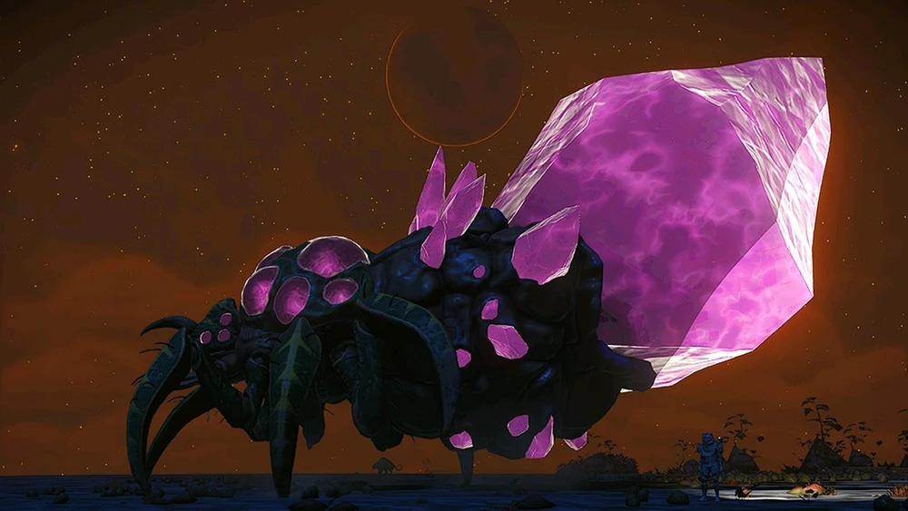 Image uploaded by Judy