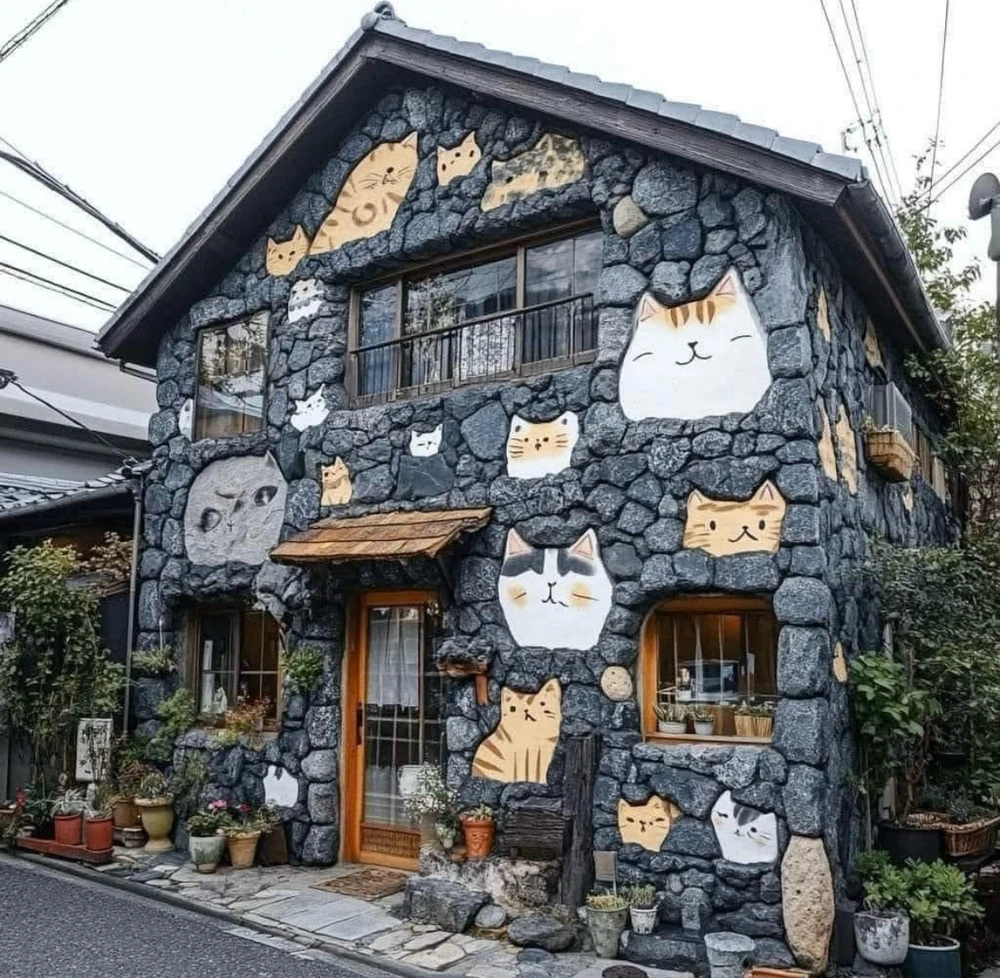 Image uploaded by Olga