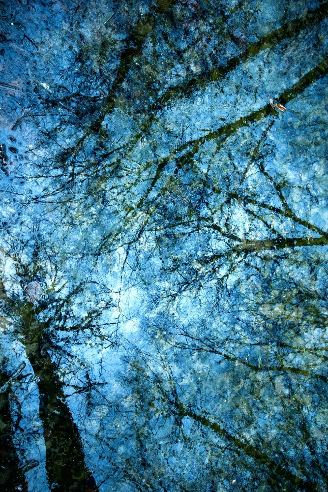 GIF ajouté par Gaël