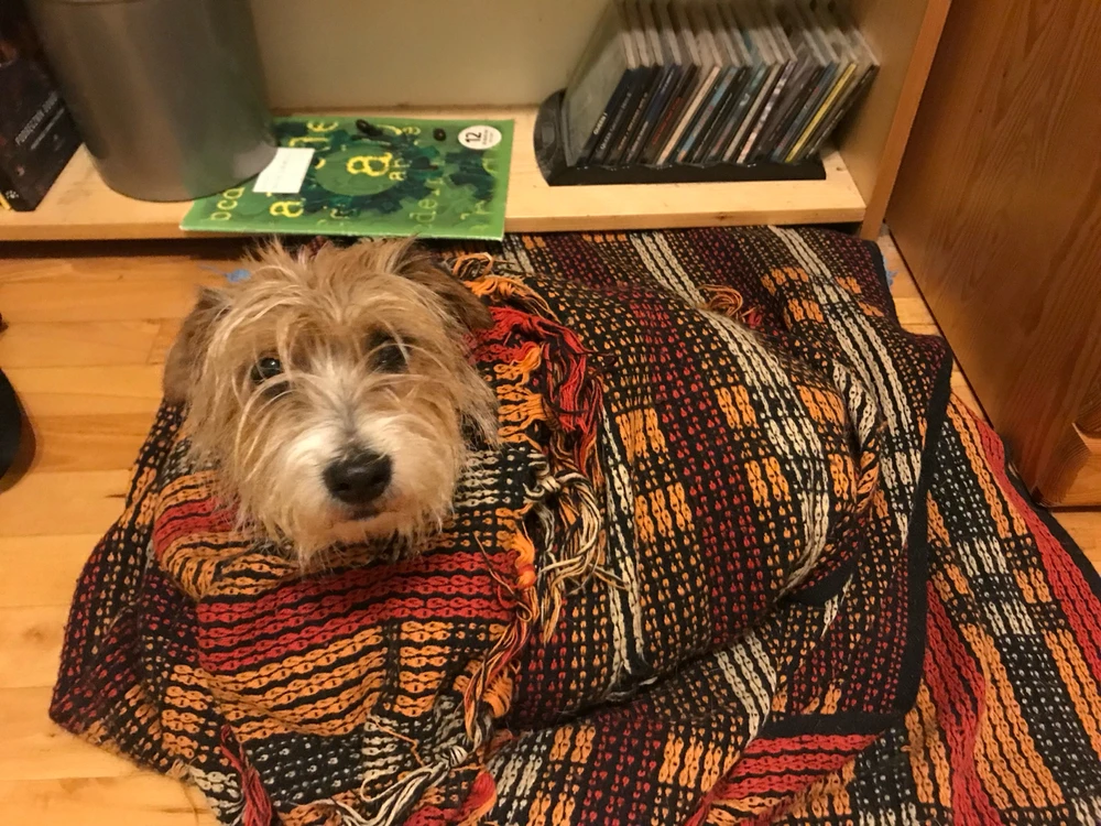 GIF dodany przez Maciek