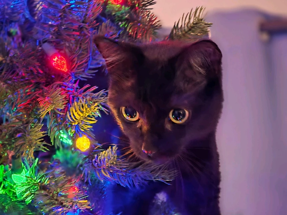 GIF uploaded by Diane