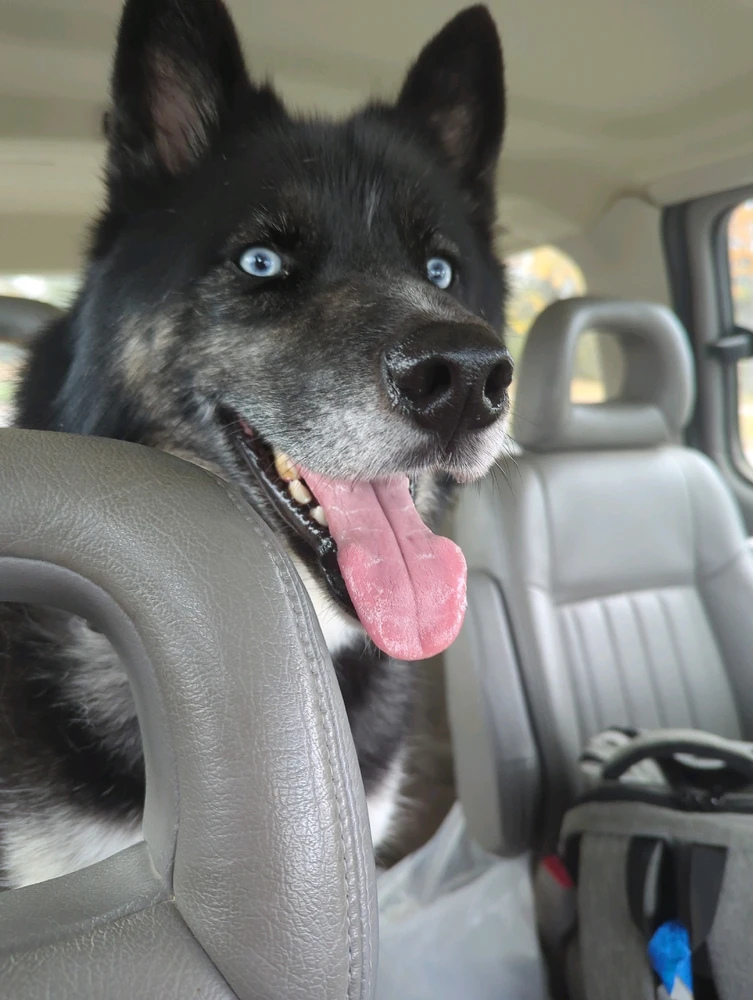 GIF uploaded by Vincent