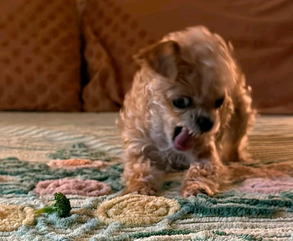 Image uploaded by Phoebe