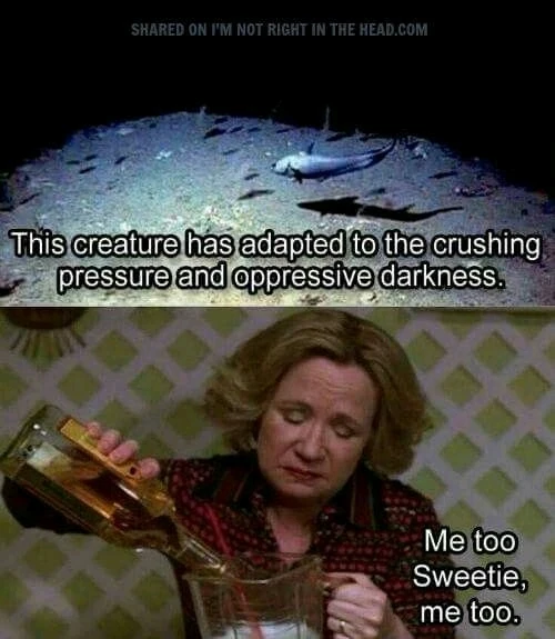 GIF uploaded by Tania