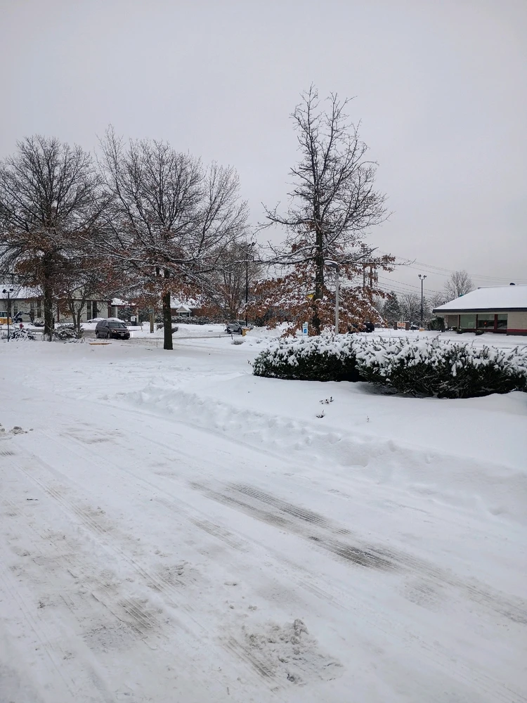 GIF uploaded by Brandon